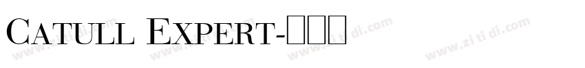 Catull Expert字体转换